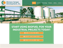 Tablet Screenshot of biosyngasdev.com